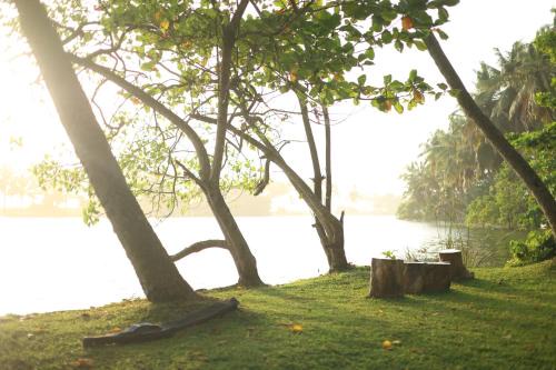 Kovalam Casa | River Loom