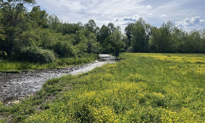 Andrews Otro | River Stone Farmhouse on 35 acres with trout stream