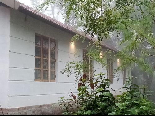Vythiri Casa | River View Guest Rooms
