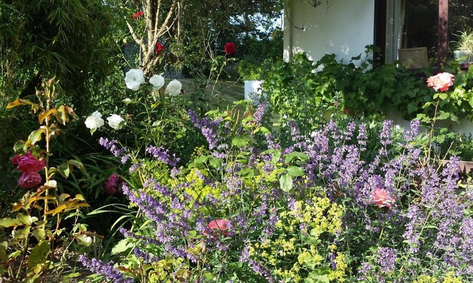 Inch Cama Y Desayuno | Riverfield Bed and Breakfast