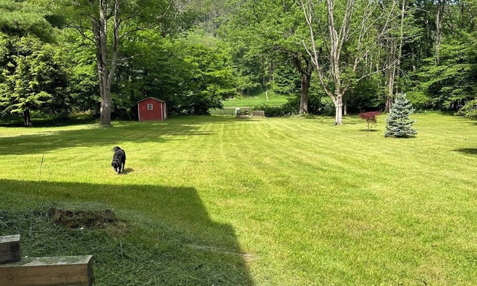White Mills Casa | Riverfront Cabin Retreat on the Delaware, 5 mins from Narrowsburg, 2hrs from NYC