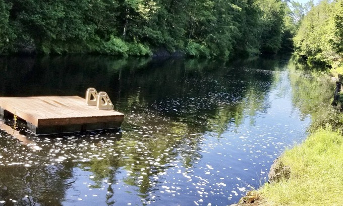 Madoc Cabaña | Riverhouse cottage with falls, river swimming and hiking trails