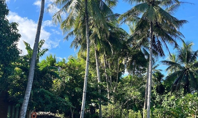 Mae Sariang Hotel | Riverhouse Resort