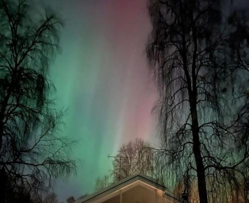 Ivalo Casa | Riverhouse studio
