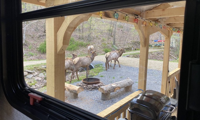 Driftwood Casa | Rivers, private elk viewing, FREE amenities, site on 62 acres