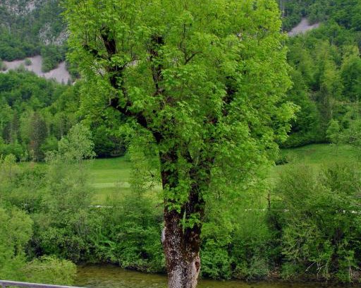 Bohinj Apartamento | Riverside Village Apartment