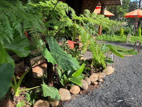Buon Ma Thuot Otro | Riverside