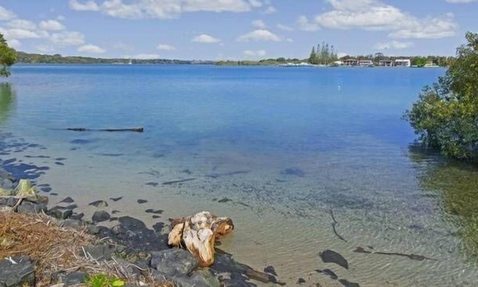 North Shore Casa | Riverview Cottage - ¡Familia y grupo céntrico!