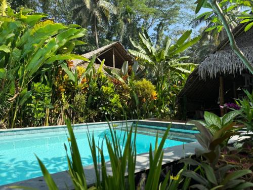 Java Cama Y Desayuno | RNV Eco Resort Bungalows