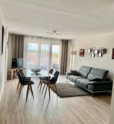 Roanne Apartamento | Roanne-centre appartement