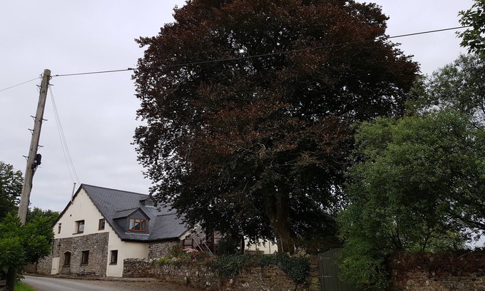 Liskeard Apartamento | Robins Nest - A los pies de Bodmin Moor