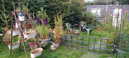 Stoney Stretton Apartamento | Robins nest