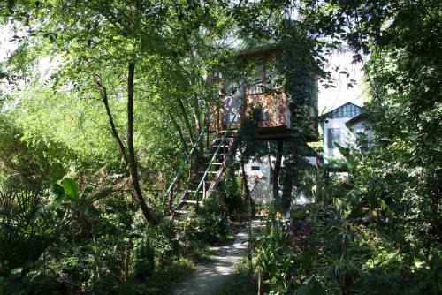 Lagodekhi Casa | Robinson Crusoe