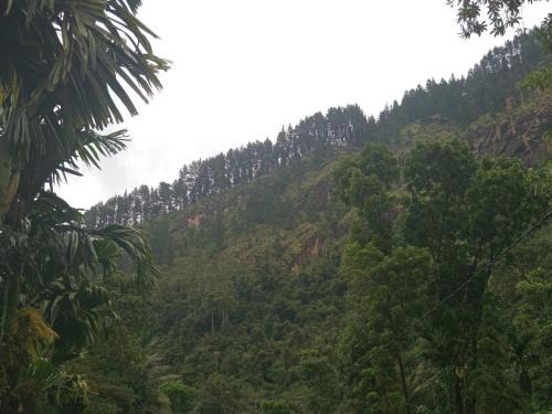 Ukuwela Casa | Rock View Holiday Bungalow
