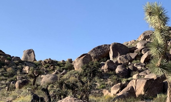 Joshua Tree Highlands Casa | 🌵 Rocky Ridge Retreat - Cozy & Colorful Home in Joshua Tree w/Hot Tub, Fire Pit & BBQ 🌵