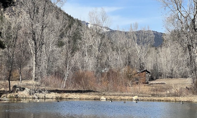 Durango Cabina | Romantic Cabin with Incredible Views, 5 miles to Durango on Lightner Creek
