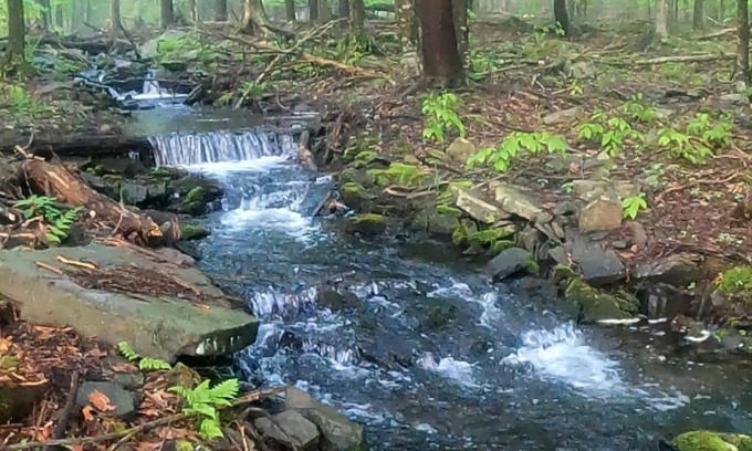 Pocono Lake Casa | Romantic Pocono house - stream, lake, beach, pool, firepit