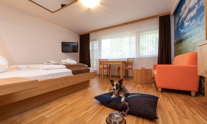 Ramsau am Dachstein Casa | Romantic room "Fire" Shortstay, with shower, WC - Almfrieden Hotel &