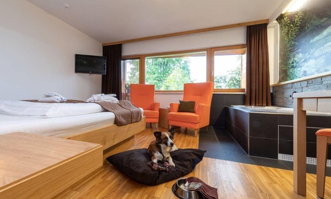 Ramsau am Dachstein Casa | Romantic room "Wasser" Shortstay, with shower, WC half board - Almfrieden Hotel &