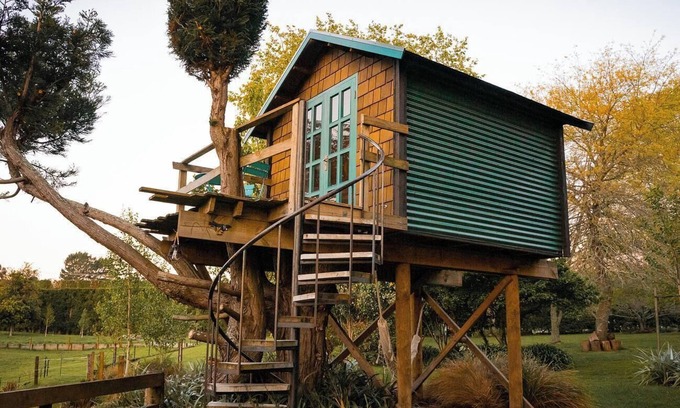 Aongatete Cabina | Romantic Tranquil Tui Treehouse