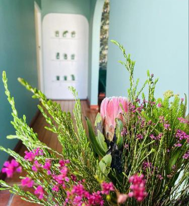 Rondebosch Apartamento | Rondebosch Cottage