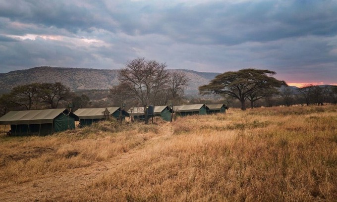 Seronera Otro | Rongai Eleven Serengeti Camp