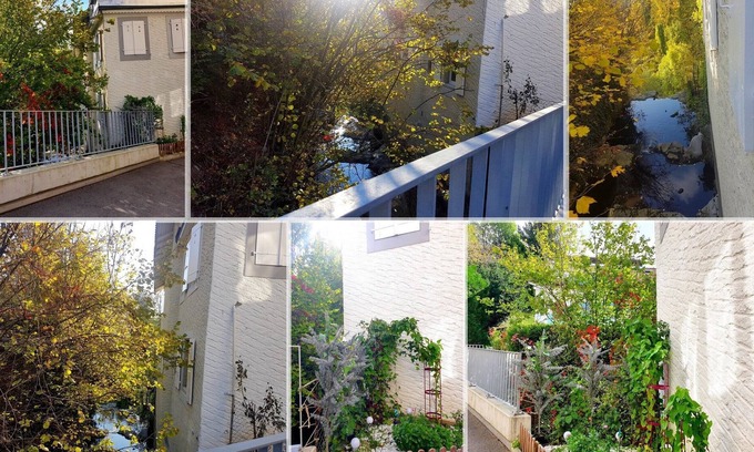 Chexbres Apartamento | roof terrace above the birds