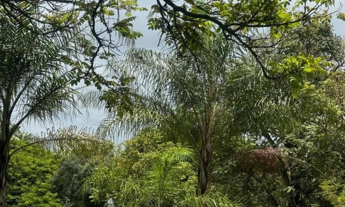 White River Casa | Room in Guest Room - Busa House Self-catering Guest House & Caravan Park
