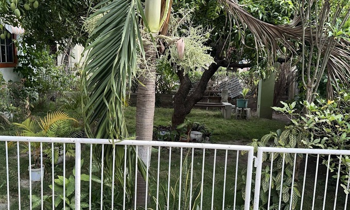 Kingston Casa | Room-charming Kingston Room to Rent With