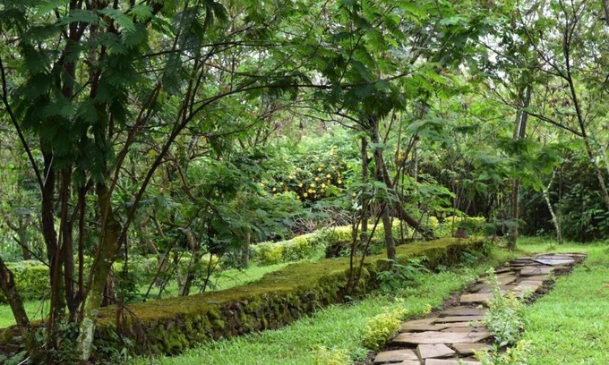 Nyakinama Casa | Room in B&B - Red Rocks Rwanda - Tent Twin