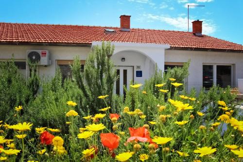 Krizna luka Casa | Rooms Hvar