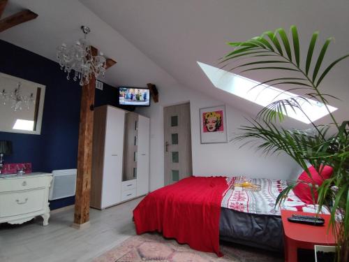 Ustrzyki Dolne Apartamento | Ropienka ski micro