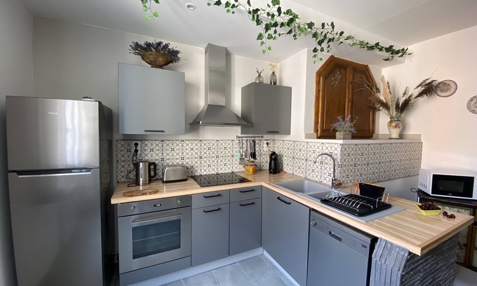 L'Isle-sur-la-Sorgue Apartamento | "Rose Island in the heart of the city