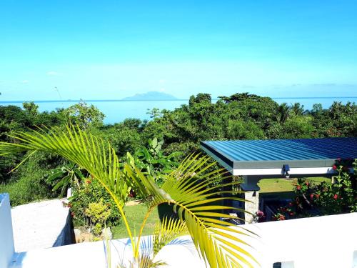 Mare Anglaise Apartamento | Rose Self Catering