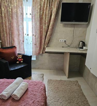Chisinau Apartamento | Rose Studio