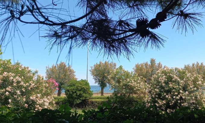 Roseto degli Abruzzi Apartamento | RosMarino Appartamento Fronte Mare