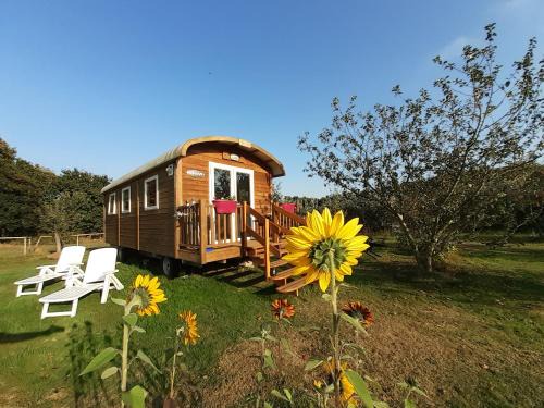 Tremeoc Casa | Roulotte Bigoudenne
