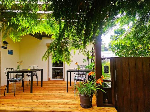 Swidnica Casa | Rozbrykany Muflon