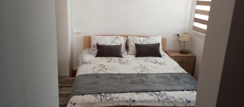 Zlatibor Apartamento | Ruža Vetrova A3