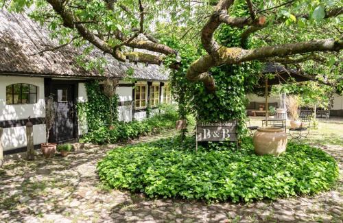 Andrarum Cama Y Desayuno | Rubensholm Bed & Breakfast