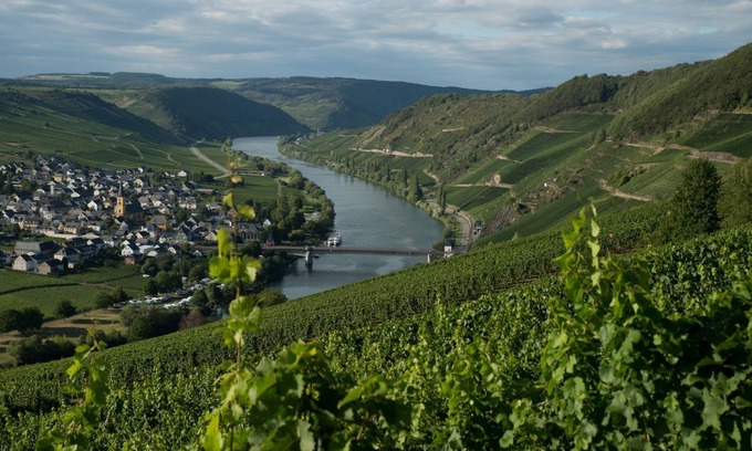 Trittenheim Casa | Ruhig Gelegenes Ferienhaus mit Sauna Direkt an der Mosel