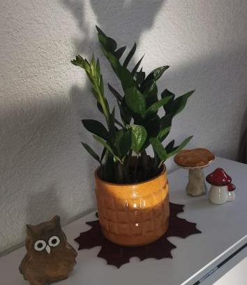 Seligenstadt Apartamento | ruhige Sout. Whg. Feldrandnähe