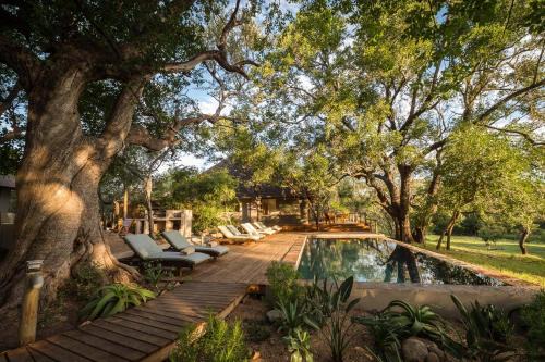 Hoedspruit Cabina | Rukiya Safari Camp