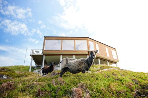 Heroy Apartamento | Runde Panorama - Trollvogga