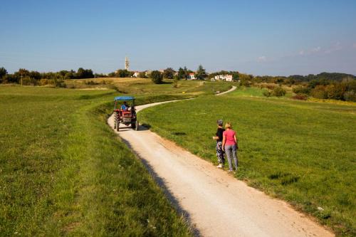 Zrenj Apartamento | Rural Apartment Carolina