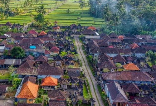 Taro Casa | Rural Atmosphere at Bali Coconut House in Delodsema Village