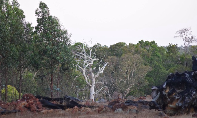 Acton Park Otro | Rural retreat set on 100 acres nestled agaisnt the Whicher Range National Park