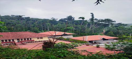 Chikkamagaluru Casa | Rushika Homestay Chikmagalur