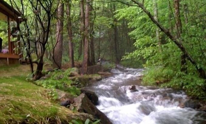 Hayesville Cabina | Rushing Waters - ¡A solo pies de Creek!