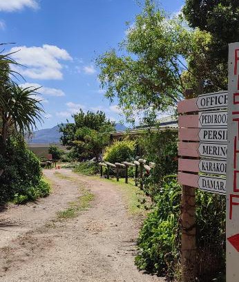Baardskeerdersbos Casa | Rusthof Accommodation
